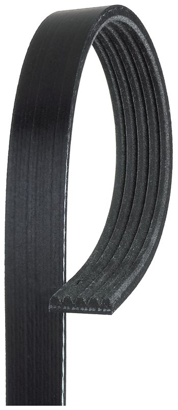Moniurahihna - 5PK1355