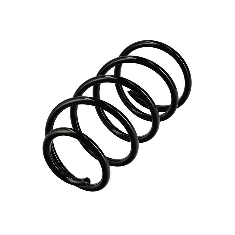 Balstiekārtas atspere - R14286