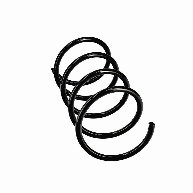 Jousi (auton jousitus) - R10966
