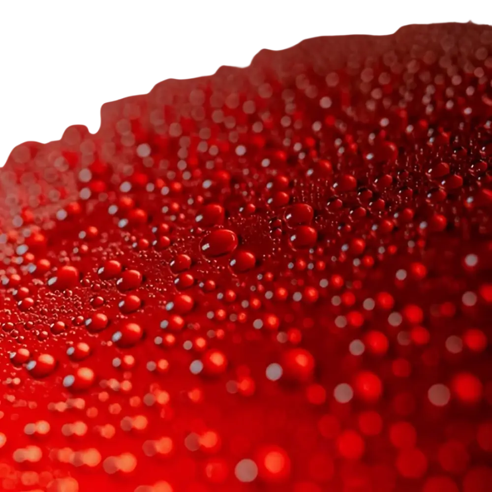 BadBoys Ultra Ceramic Coating UCC 30ml - Keraaminen pinnoite