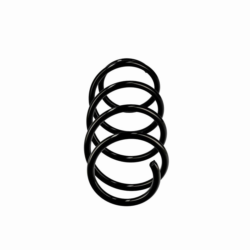 Jousi (auton jousitus) - R10205